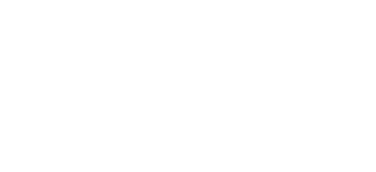 R+N Architecture